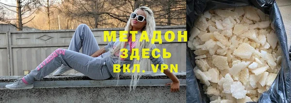 стаф Аркадак